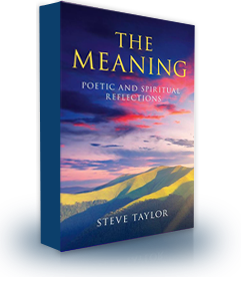 The Meaning